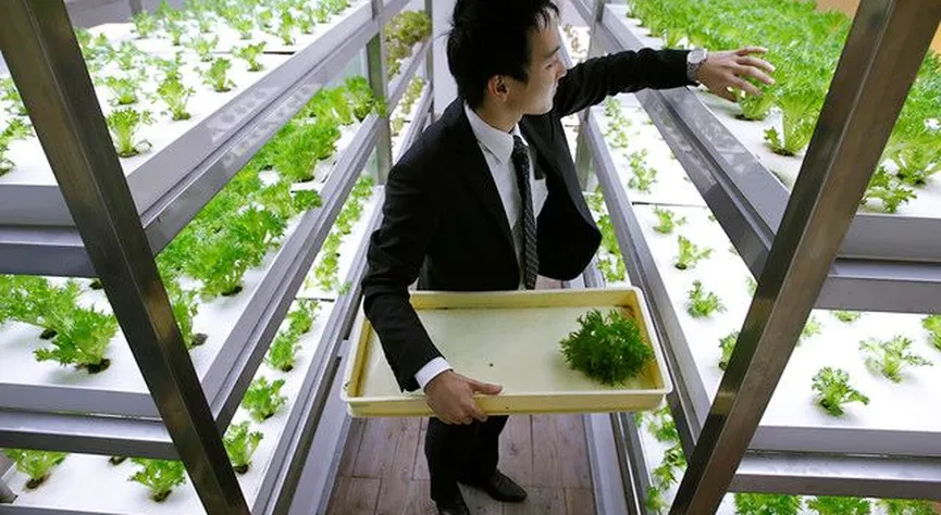 Japanese rural tourism innovation